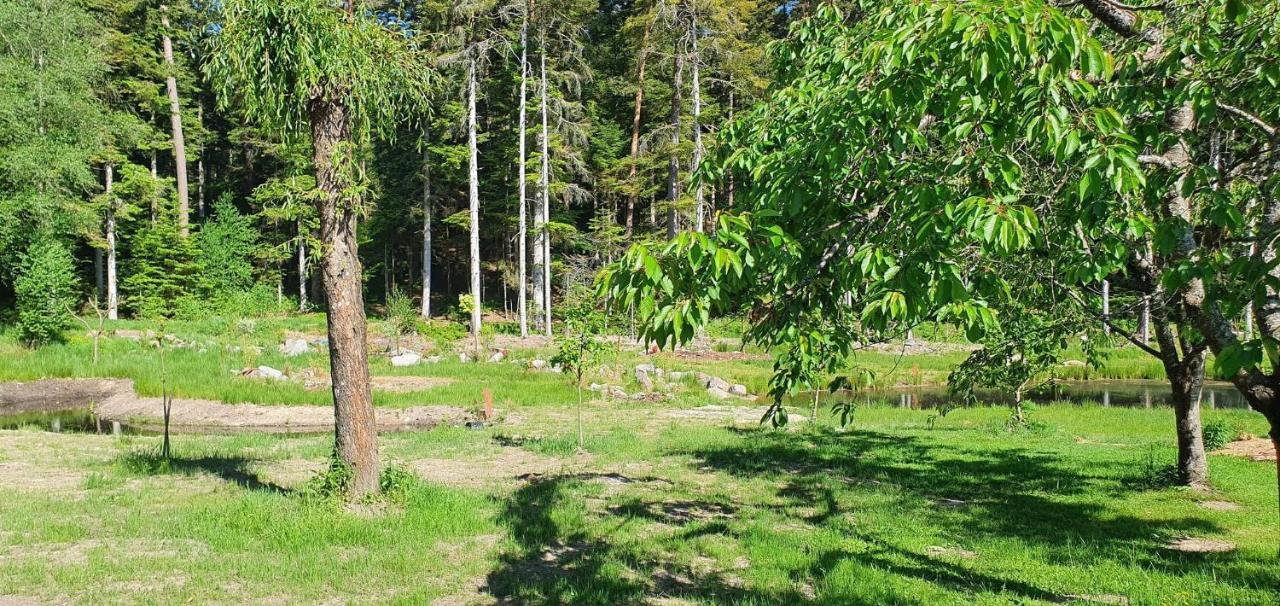 Gites Les Saules Et Les Charmes Saint-Remy  Экстерьер фото